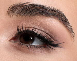 Naklejka premium Young woman with beautiful makeup, closeup. Eye shadow product