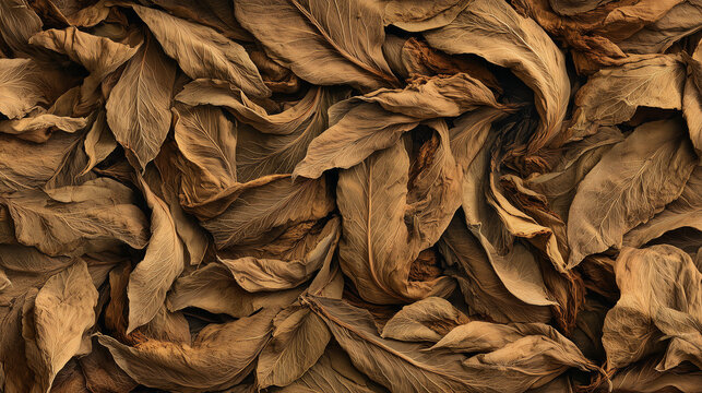 Photorealistic macro of dried cured tobacco leaves curled in warm brown and tan tones forming a full frame organic surface texture for backgrounds and rustic design projects