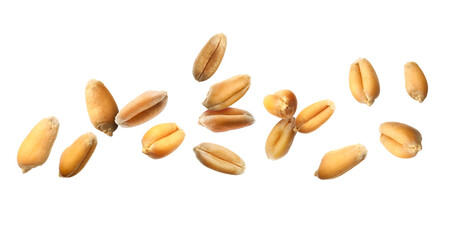 Wheat grains flying in air against white background © New Africa