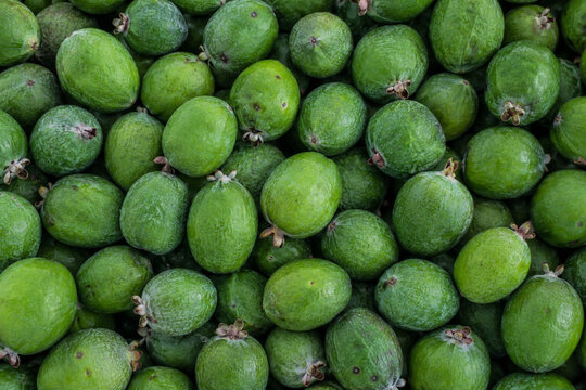 Feijoa pattern green tropical fruit background texture