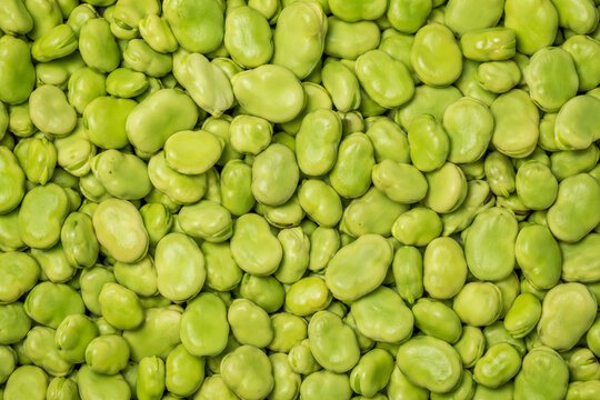 Broad beans pattern green legume background texture