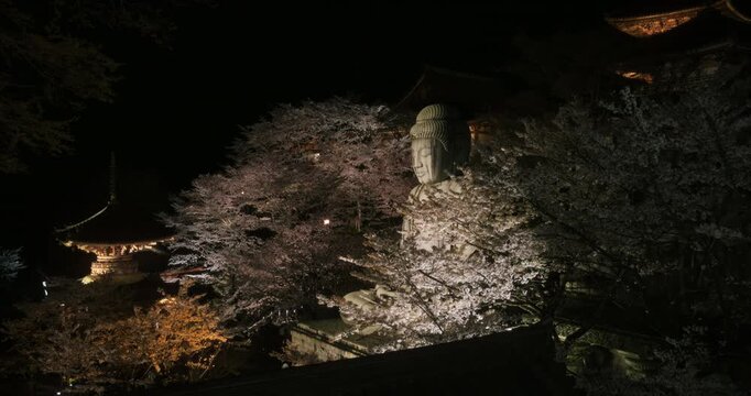 Wide shot of spotlight on massive, ancient buddha statue in Japan at night