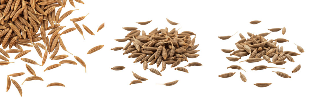 Dried Cumin Seeds Set Isolated on White Background Organic Spices Piles Raw Culinary Ingredient Healthy Cooking Herb Aromatic Seasoning Food Texture Closeup Traditional Indian Cuisine Condiment Dried 