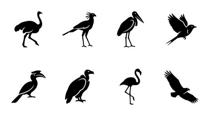 8 Bird Silhouettes Icon Set, Flat, for Wildlife and Nature Concepts © pixostudio
