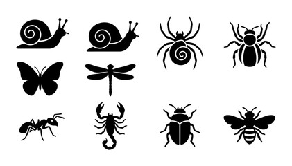 8 Insect Silhouette Icons, Flat, for Nature and Biology Concepts © pixostudio