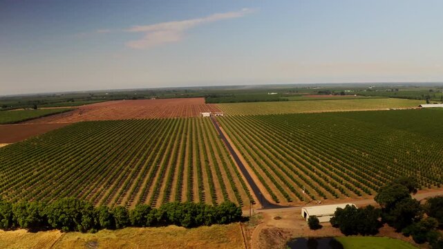 Drone aerial view of farmstead and acres of farmland in Chico, California 
