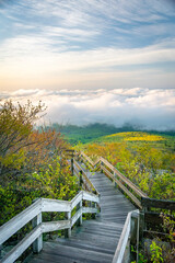 Fototapeta premium Wooden Mountain Stairway Descending Into Clouds