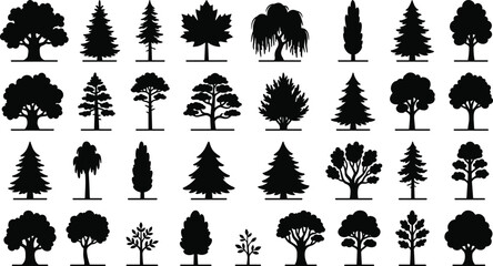 Collection of black tree silhouettes, including deciduous and coniferous varieties, on a white background © Sojib Patuary