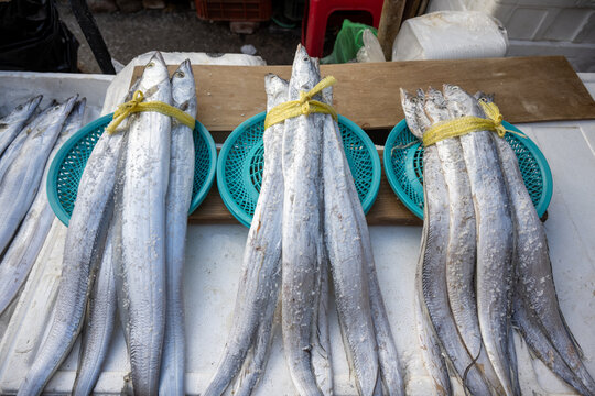 Fresh silver hairtail fish bundled with yellow strings and sea salt at a traditional Korean seafood market.