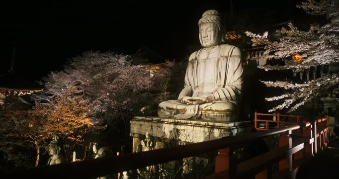 Tracking shot alongside fence near massive buddha statue near cherry blossoms at night