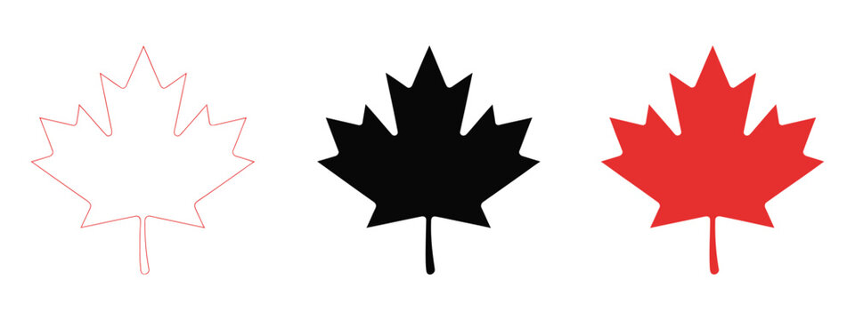 Maple leaf graphic showcasing Canada emblem and autumn fall symbol in bold red style for branding and decorative projects.