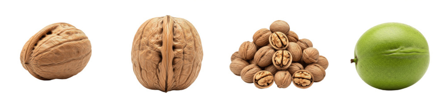Collection of walnuts in various stages, showing whole nuts, shelled kernels in a pile, and a fresh green walnut in its husk, isolated on white background, healthy organic nut, raw ingredient for culi