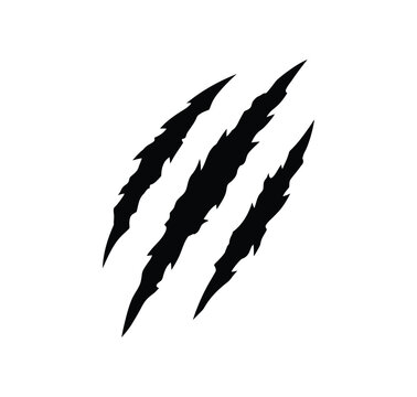 Black tiger shark tooth pattern with sharp teeth design