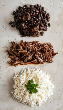 Vertical food photography shot of deconstructed pabellon criollo with shredded beef and black beans, neutral background