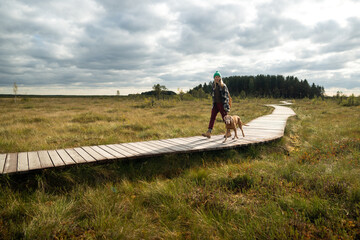 Fototapeta premium Woman enjoying nature outdoors on weekend trip with dog in autumn marshy wetland. Female hiker walking together with pet on wooden ecological trail in middle of raised sphagnum bog on sunny day