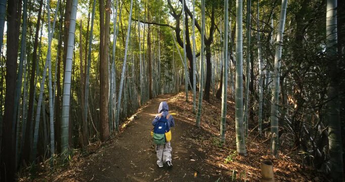 Little boy walking dirt path and surrounded by bamboo thickets - wide shot