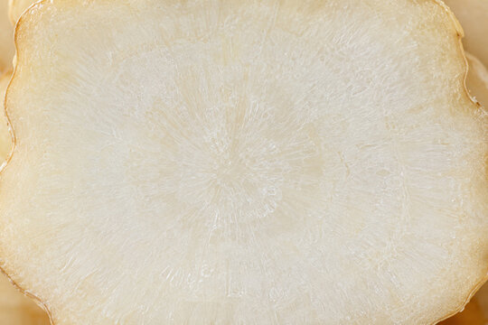 Crosne Chinese artichoke half macro white tuber texture