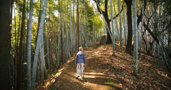 Lone little boy walking on dirt path through bamboo grove in Japan - steady cam wide shot