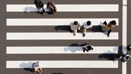 Aerial top-down shot of several pedestrians walking across pristine white zebra crossing stripes on dark asphalt, casting long diagonal shadows on a clear sunny day in an urban setting. © olga_demina
