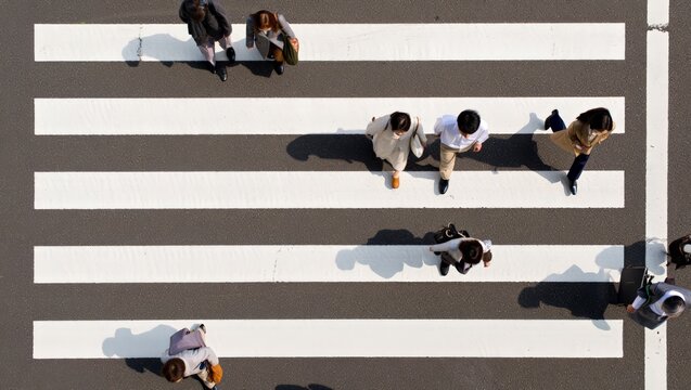 Aerial top-down shot of several pedestrians walking across pristine white zebra crossing stripes on dark asphalt, casting long diagonal shadows on a clear sunny day in an urban setting.