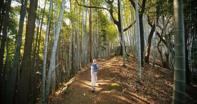 Slow motion steady cam following child running through beautiful bamboo thicket