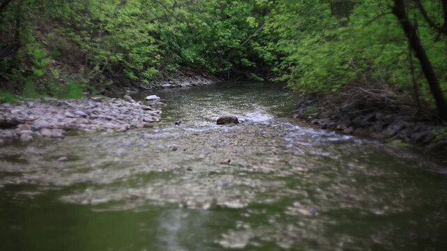 Une rivi&egrave;re dans la for&ecirc;t, Qu&eacute;bec, Canada.