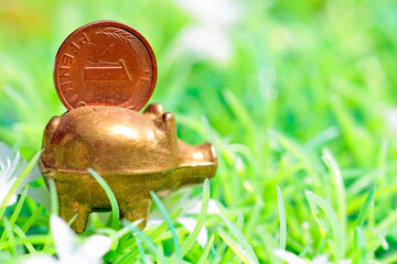 Talismans and good-luck charms, piglets © TwilightArtPictures