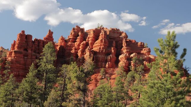 Towering trees and striking rock formations at Red Canyon on Scenic Byway 12, near Bryce Canyon National Park in Utah