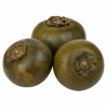 black sapote isolated on white background
