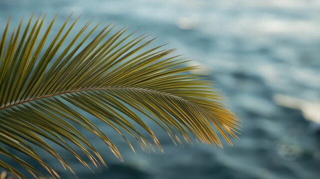 Tropical palm leaf and frond arching over shimmering ocean water sunlight coastal calm reflection
