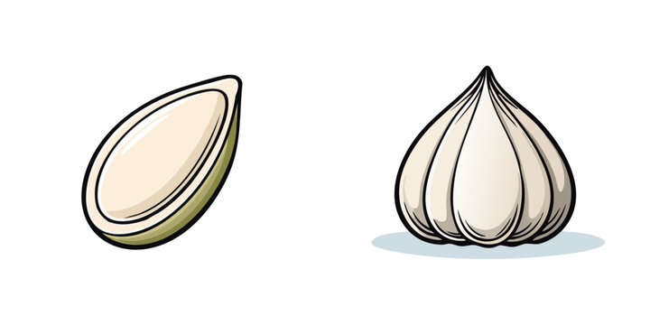 Stylized illustration of a single pumpkin seed and a whole garlic bulb against a white background