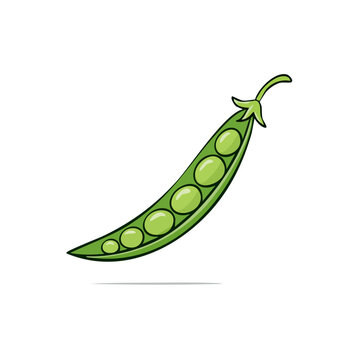 Illustration of a single green pea pod with five peas visible and a stem on a white background