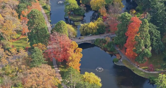 Aerial shot of Beacon Hill park in Victoria Canada BC. Wildlife trees, colorful leaves and water fountain, bridge and pond with beautiful weather walk in the city center	