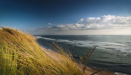 sea coast grass and sky
