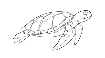 Sea Turtle Outline Drawing, Marine Animal Illustration, Simple Line Art © diwi