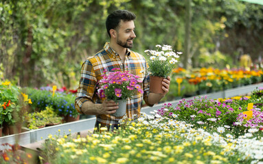In plant nursery, man buys and purchase margarita flower decorative plant in pot, visitors to wholesale flower market stand against background of shopping malls with decorative flowering plants © JackF