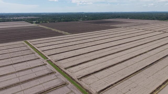 C.W. Hendrix Farms-260621