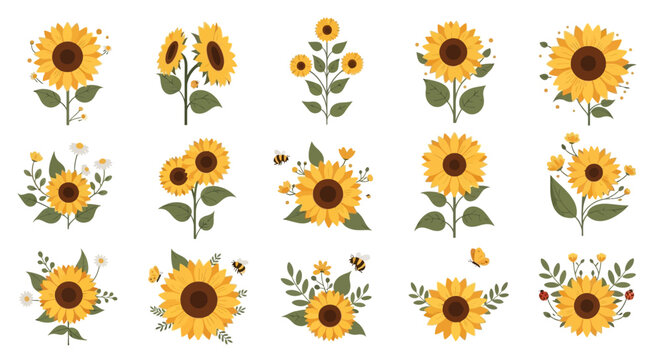 Collection of sunflower floral designs.