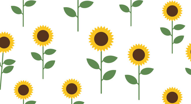 Sunflowers in a white background.