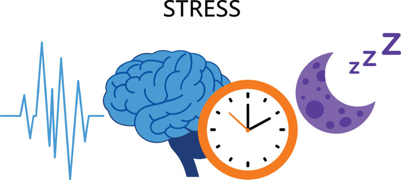 Stress and insomnia symptoms infographic vector illustration showing human brain clock crescent moon and heartbeat line for medical mental health wellness marketing