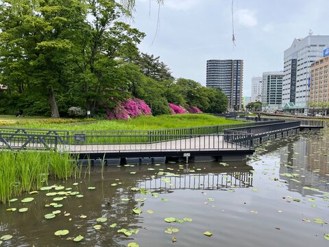 久保田城の堀