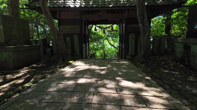 風に揺れる木陰　宇土市　住吉神社