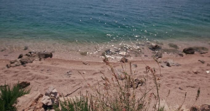 iew of a pebble beach and Adriatic Sea with coastal plants in the foreground in Sibenik, Croatia.