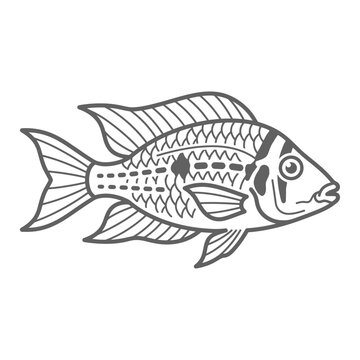 Dotted pattern cichlid fish outline for coloring book.