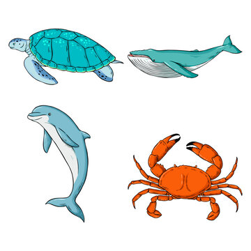 Png sea animal sticker set colorful clipart