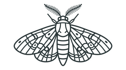 Symmetrical moth insect line art illustration on white background. © ZAHZI