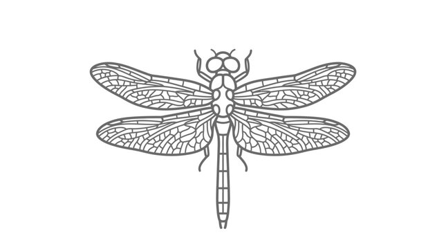 Symmetric dragonfly outline vector from top view.