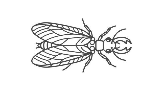Top view line art illustration of a winged insect.