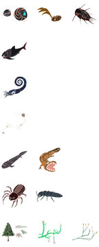 デボン紀の古生物のデフォルメイラストセット