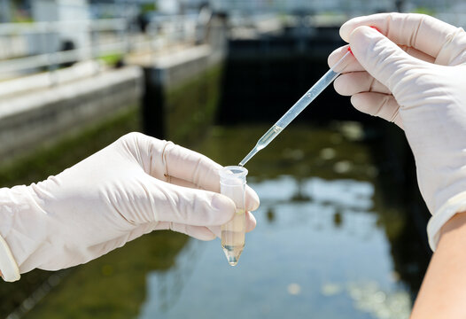 A person wearing protective gloves collects a water sample from an outdoor canal for laboratory test.